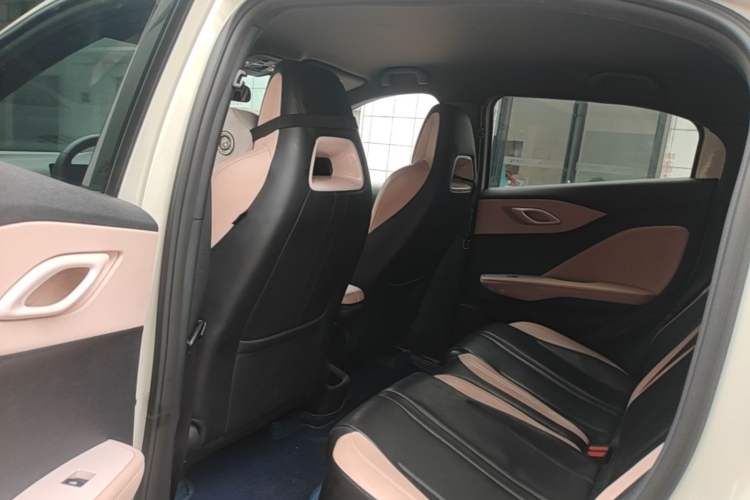 Used BYD Seagull 2023 Flying Edition Left Rear Seat