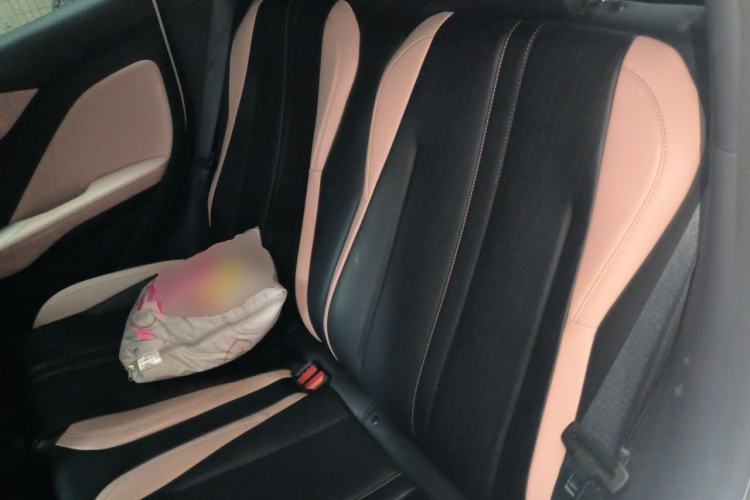 Used BYD Seagull 2023 Active Version Left Rear Seat