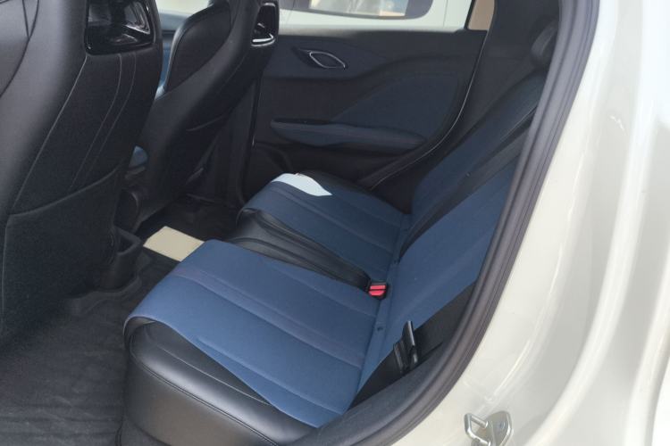 Used BYD Seagull 2023 Free Edition Left Rear Seat