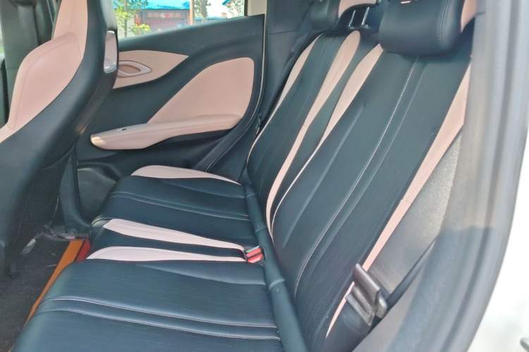 Used BYD Seagull 2023 Free Edition Left Rear Seat