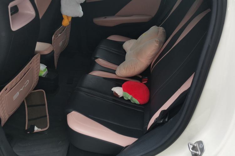 Used BYD Seagull 2023 Free Edition Left Rear Seat