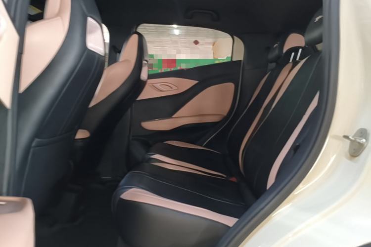 Used BYD Seagull 2023 Active Version Left Rear Seat