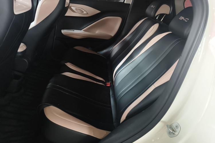 Used BYD Seagull 2023 Active Version Left Rear Seat