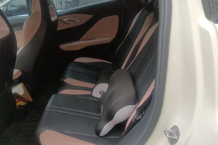 Used BYD Seagull 2023 Flying Edition Left Rear Seat