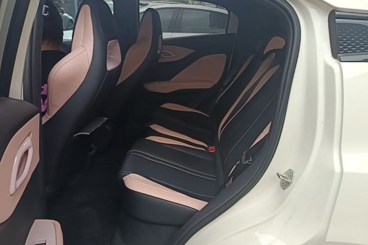 Used BYD Seagull 2023 Free Edition Left Rear Seat
