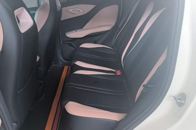 Used BYD Seagull 2023 Free Edition Left Rear Seat