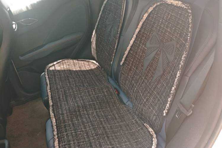 Used BYD Seagull 2023 Active Version Left Rear Seat