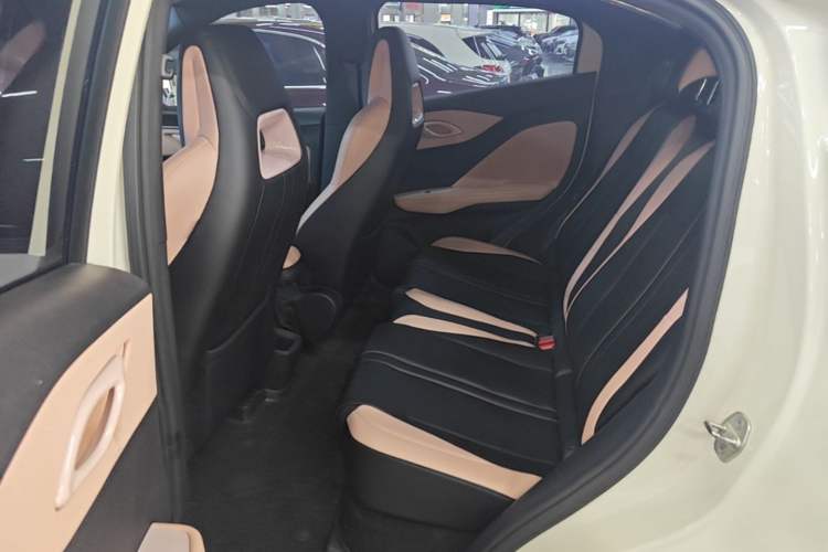 Used BYD Seagull 2023 Flying Edition Left Rear Seat
