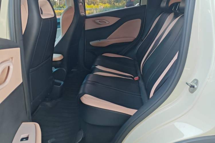 Used BYD Seagull 2023 Free Edition Left Rear Seat