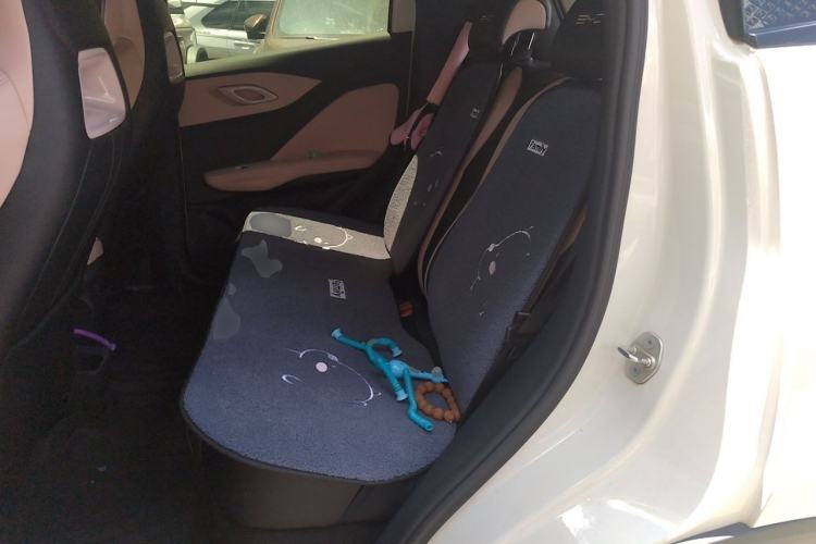 Used BYD Seagull 2023 Free Edition Left Rear Seat