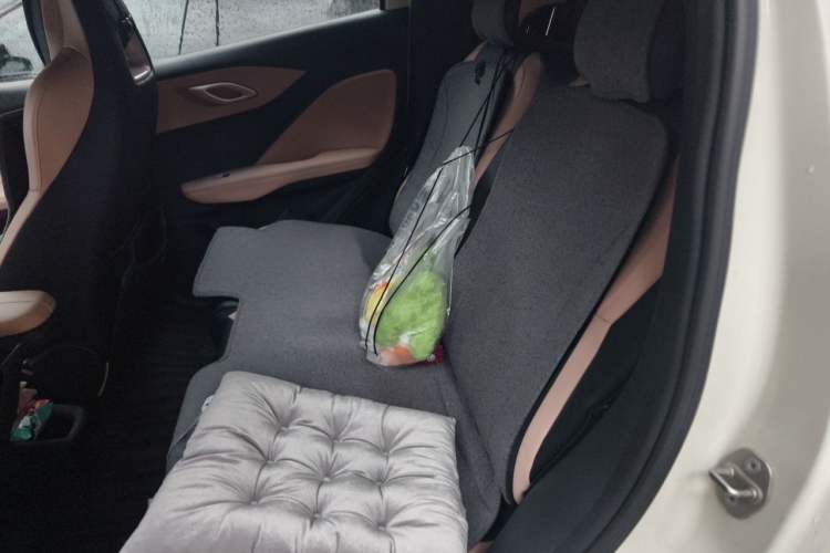 Used BYD Seagull 2023 Flying Edition Left Rear Seat