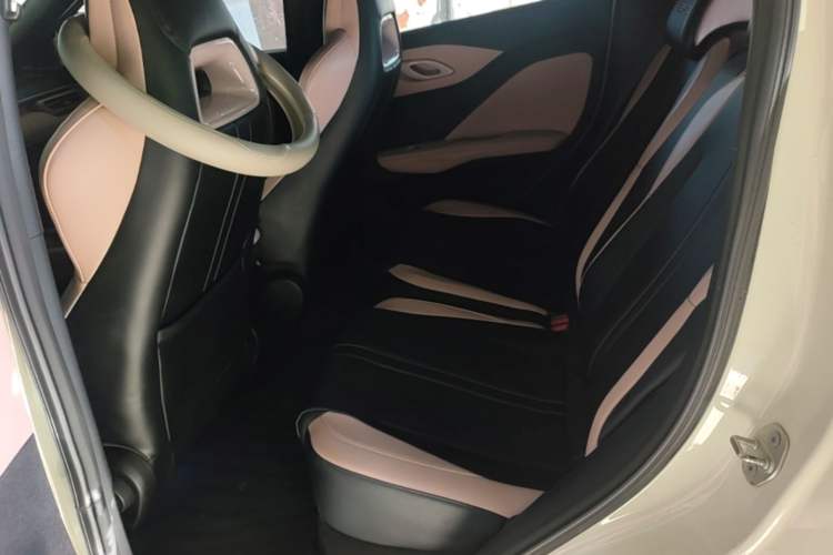 Used BYD Seagull 2023 Free Edition Left Rear Seat