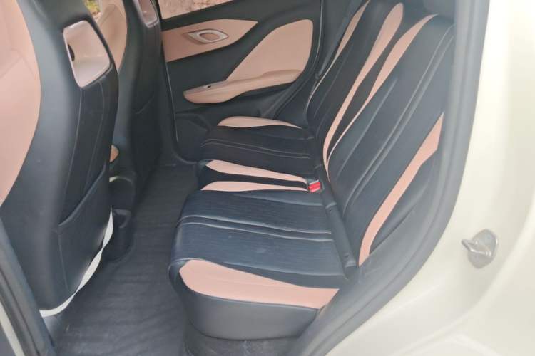 Used BYD Seagull 2023 Free Edition Left Rear Seat