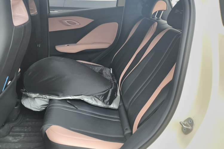 Used BYD Seagull 2023 Flying Edition Left Rear Seat