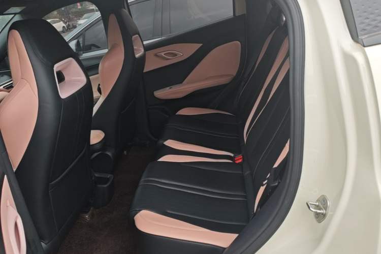 Used BYD Seagull 2023 Active Version Left Rear Seat