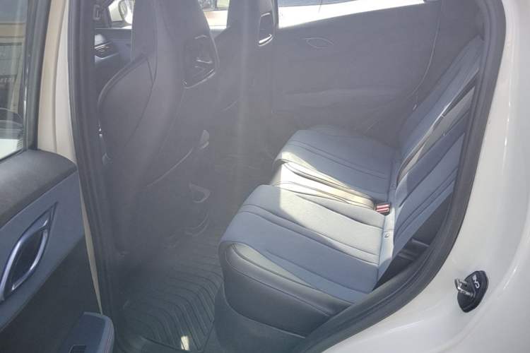 Used BYD Seagull 2023 Free Edition Left Rear Seat