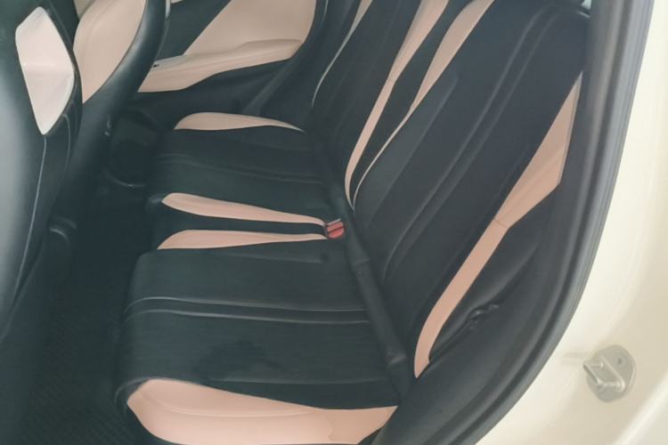 Used BYD Seagull 2023 Free Edition Left Rear Seat