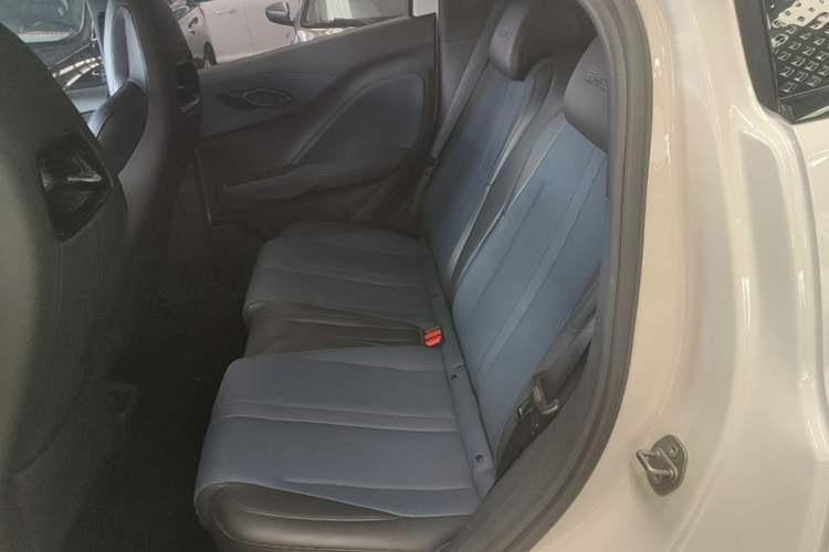 Used BYD Seagull 2023 Flying Edition Left Rear Seat