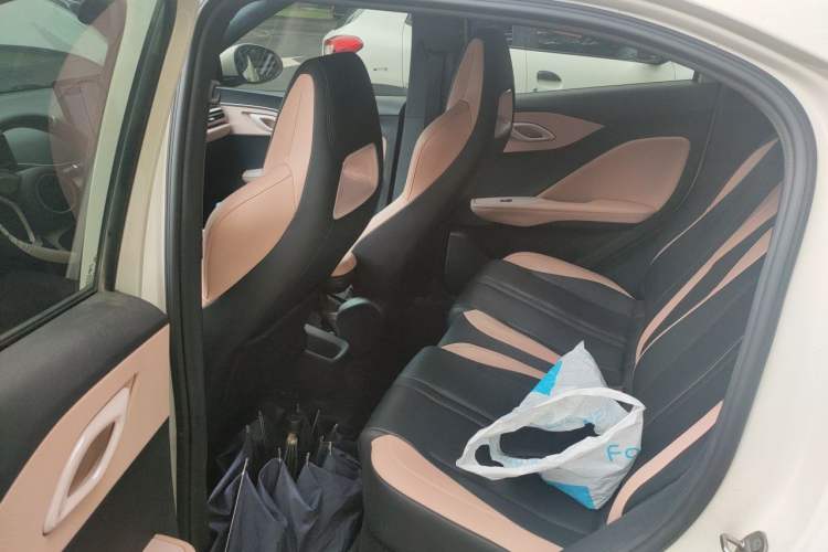 Used BYD Seagull 2023 Active Version Left Rear Seat