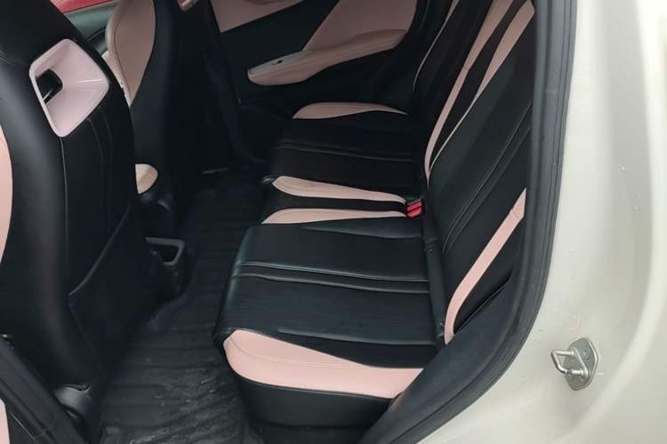 Used BYD Seagull 2023 Free Edition Left Rear Seat