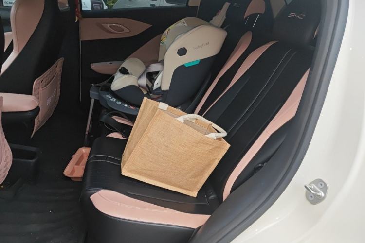 Used BYD Seagull 2023 Free Edition Left Rear Seat