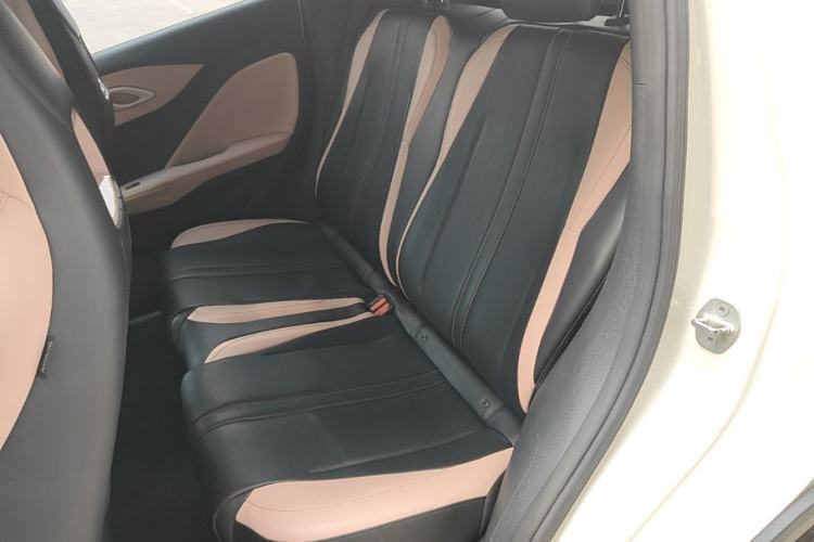 Used BYD Seagull 2023 Flying Edition Left Rear Seat