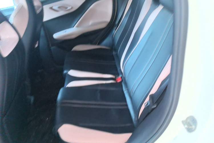 Used BYD Seagull 2023 Free Edition Left Rear Seat
