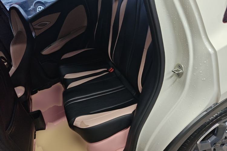 Used BYD Seagull 2023 Free Edition Left Rear Seat