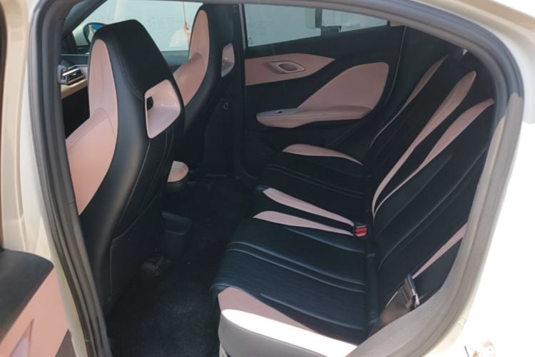 Used BYD Seagull 2023 Active Version Left Rear Seat