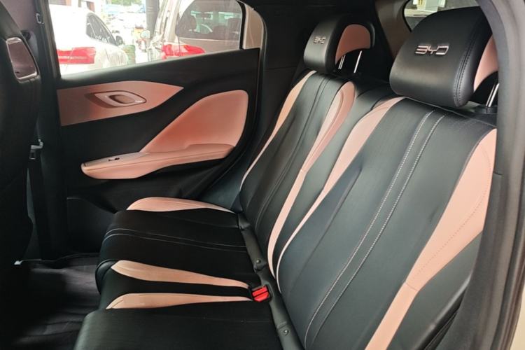 Used BYD Seagull 2023 Free Edition Left Rear Seat