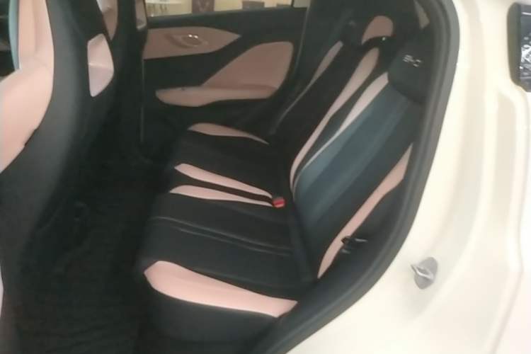 Used BYD Seagull 2023 Flying Edition Left Rear Seat