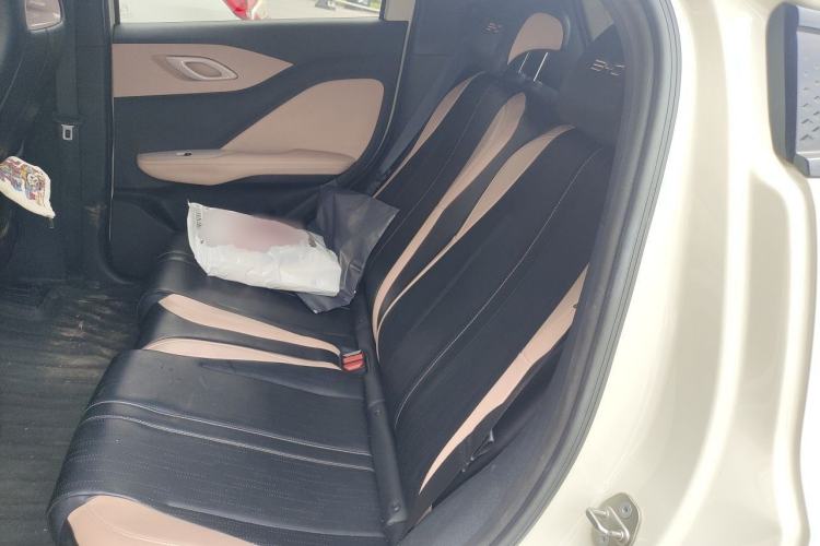 Used BYD Seagull 2023 Free Edition Left Rear Seat
