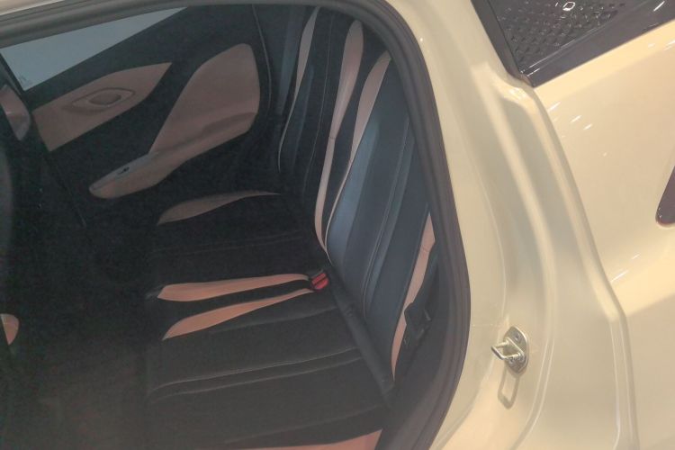 Used BYD Seagull 2023 Flying Edition Left Rear Seat