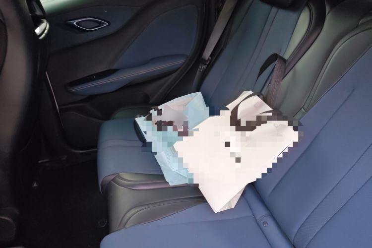 Used BYD Seagull 2023 Flying Edition Left Rear Seat