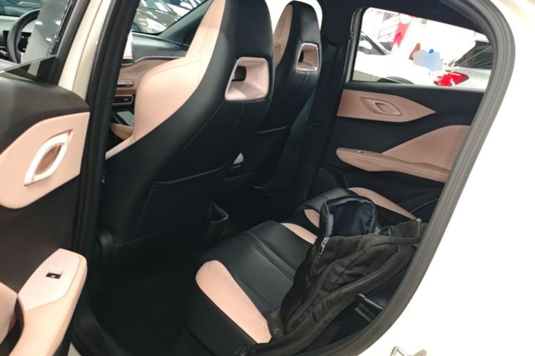 Used BYD Seagull 2023 Free Edition Left Rear Seat