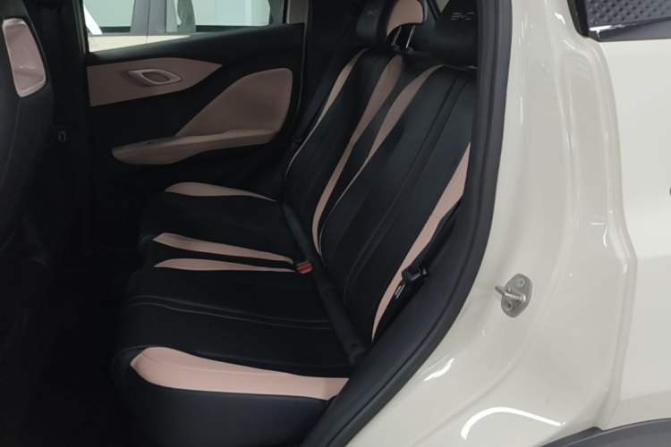 Used BYD Seagull 2023 Active Version Left Rear Seat