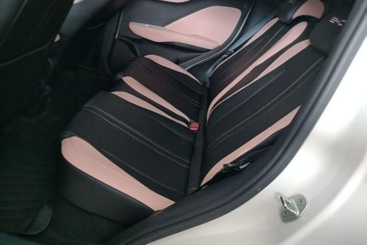 Used BYD Seagull 2023 Free Edition Left Rear Seat