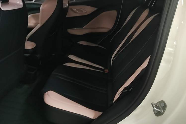 Used BYD Seagull 2023 Free Edition Left Rear Seat