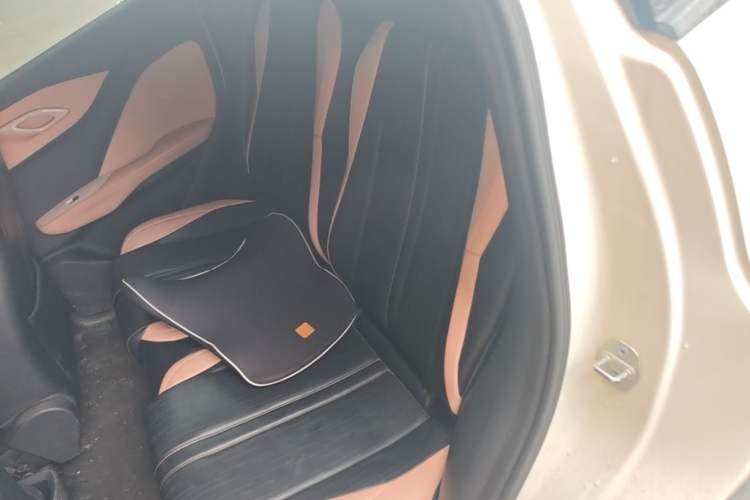 Used BYD Seagull 2023 Active Version Left Rear Seat