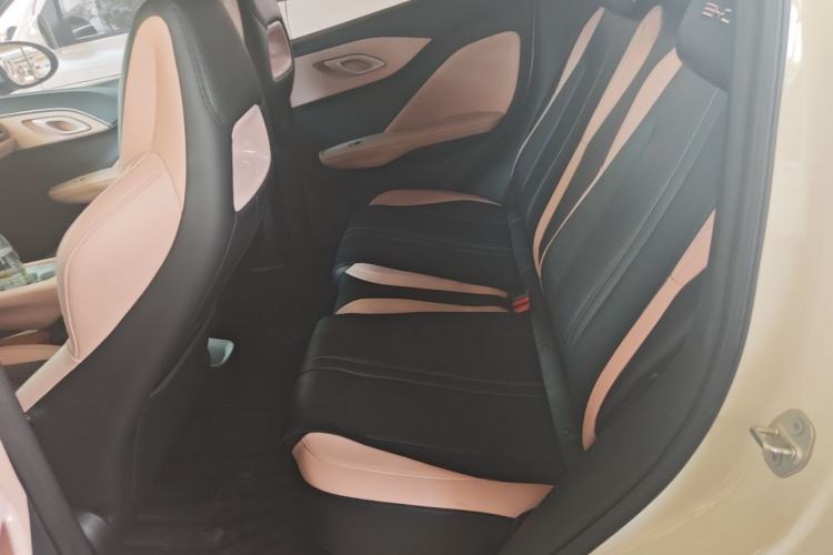 Used BYD Seagull 2023 Free Edition Left Rear Seat