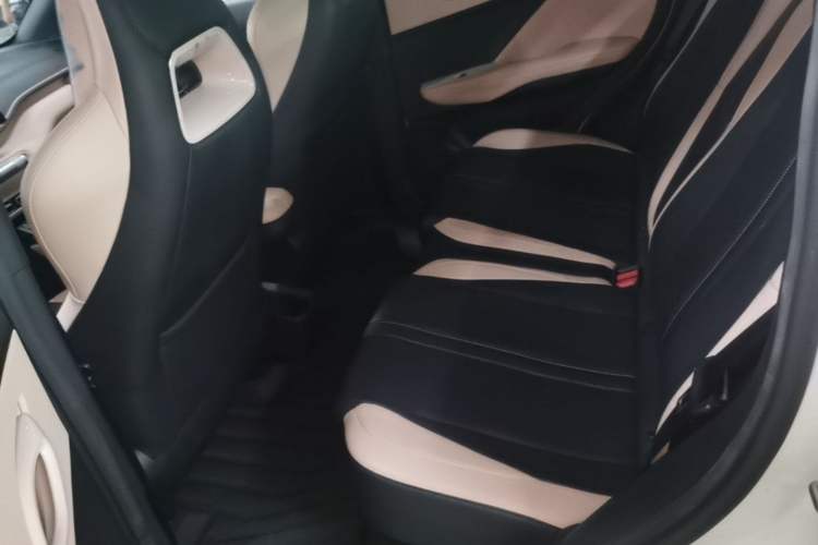 Used BYD Seagull 2023 Free Edition Left Rear Seat