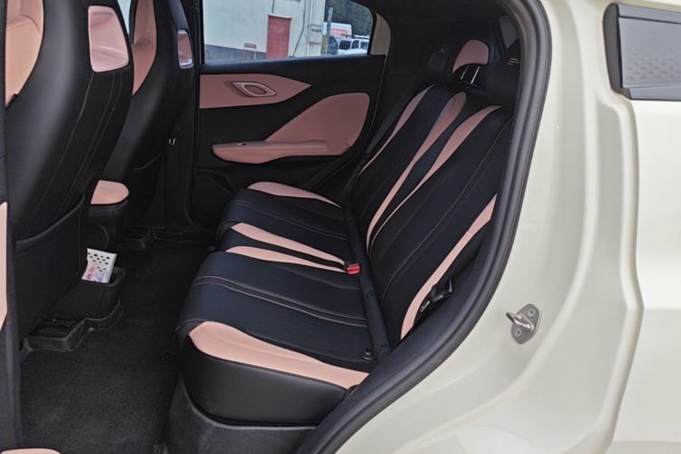 Used BYD Seagull 2023 Flying Edition Left Rear Seat