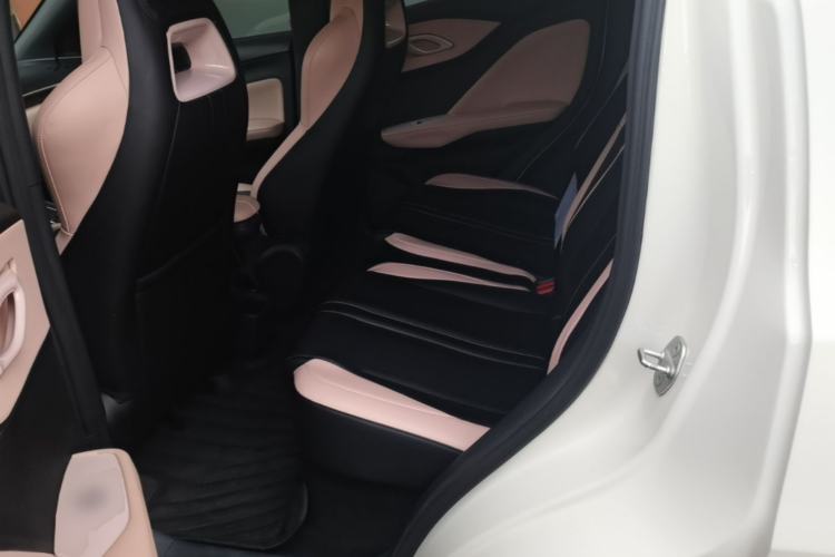Used BYD Seagull 2023 Active Version Left Rear Seat