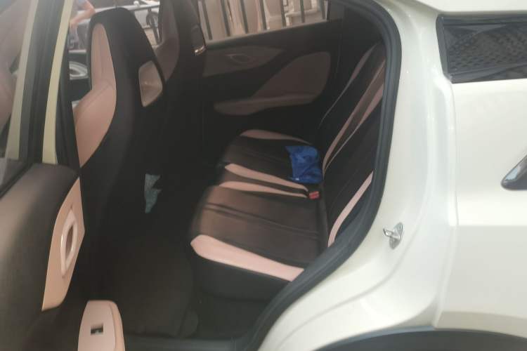 Used BYD Seagull 2023 Flying Edition Left Rear Seat