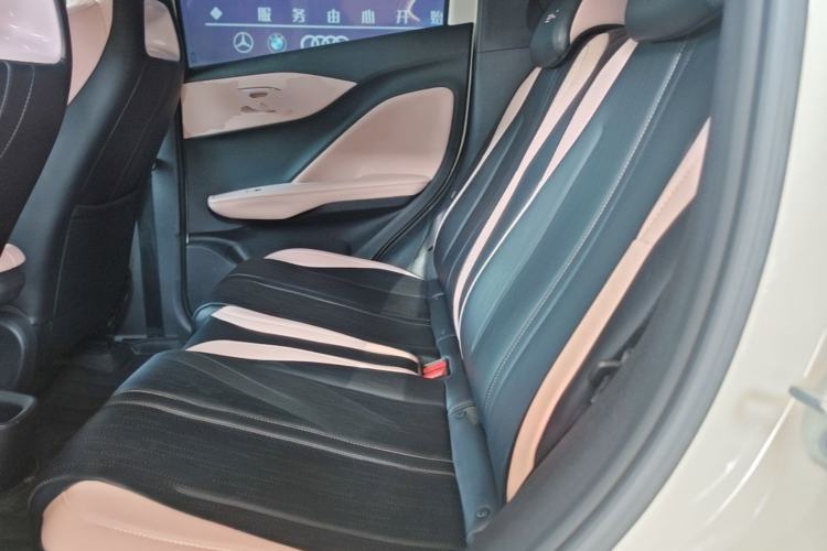Used BYD Seagull 2023 Free Edition Left Rear Seat