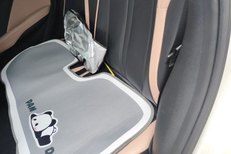 Used BYD Seagull 2023 Flying Edition Left Rear Seat
