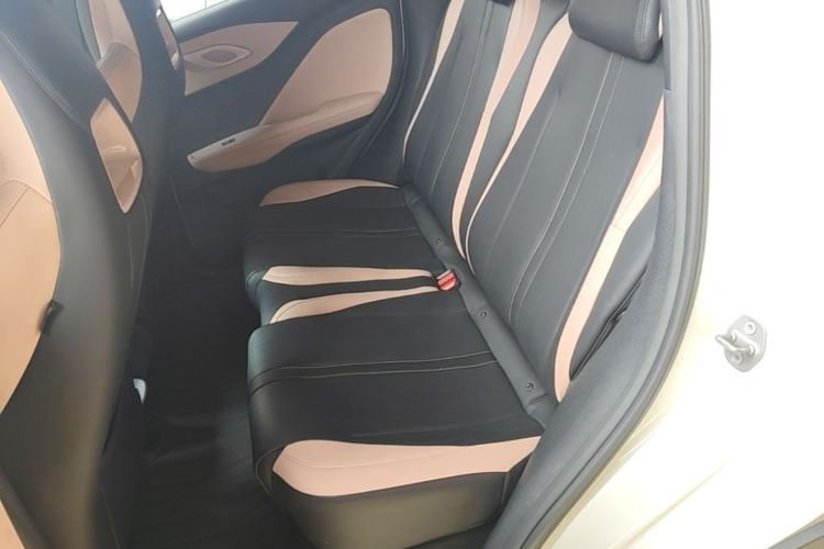 Used BYD Seagull 2023 Flying Edition Left Rear Seat
