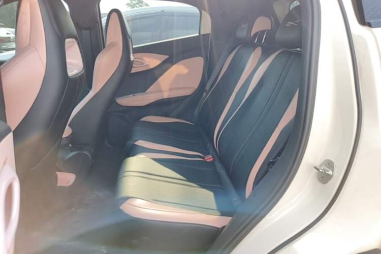 Used BYD Seagull 2023 Active Version Left Rear Seat