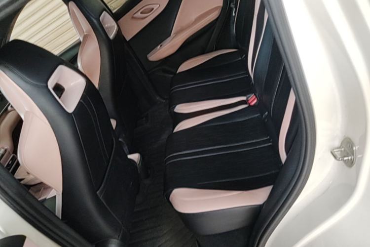 Used BYD Seagull 2023 Free Edition Left Rear Seat