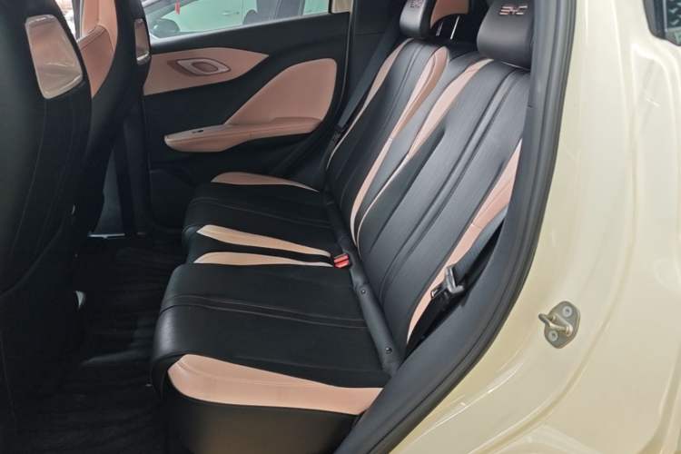 Used BYD Seagull 2023 Free Edition Left Rear Seat